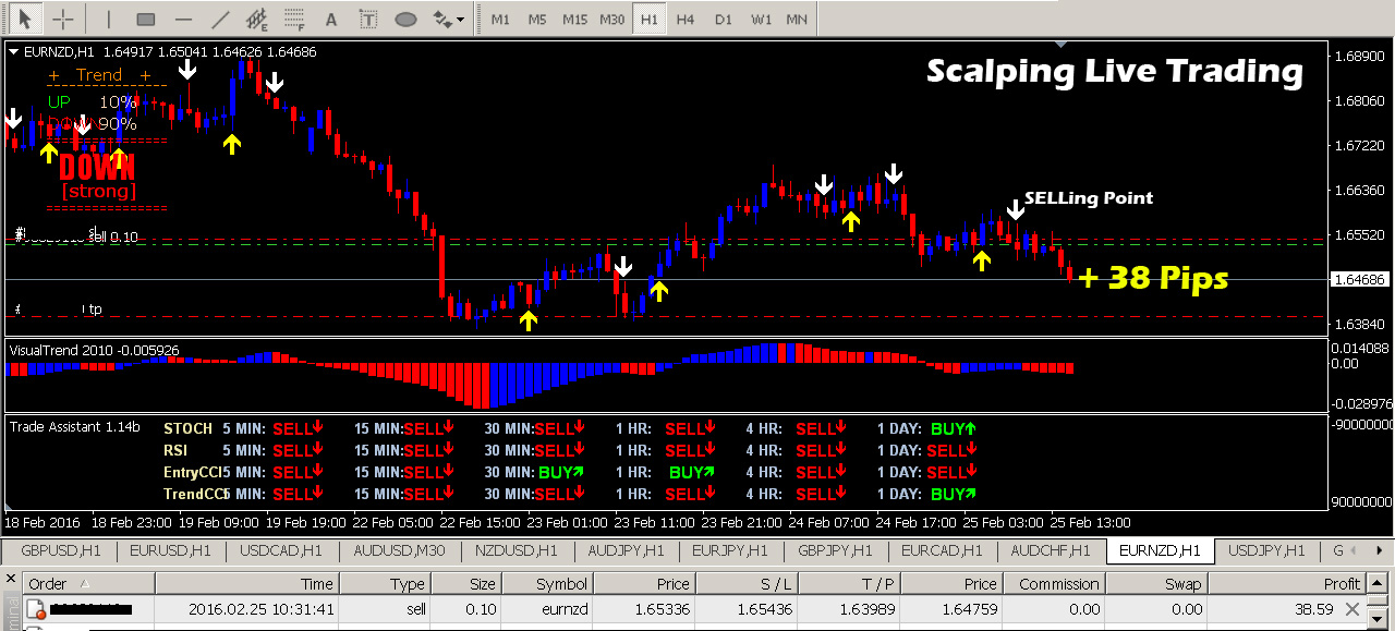 Forex trading payment proof