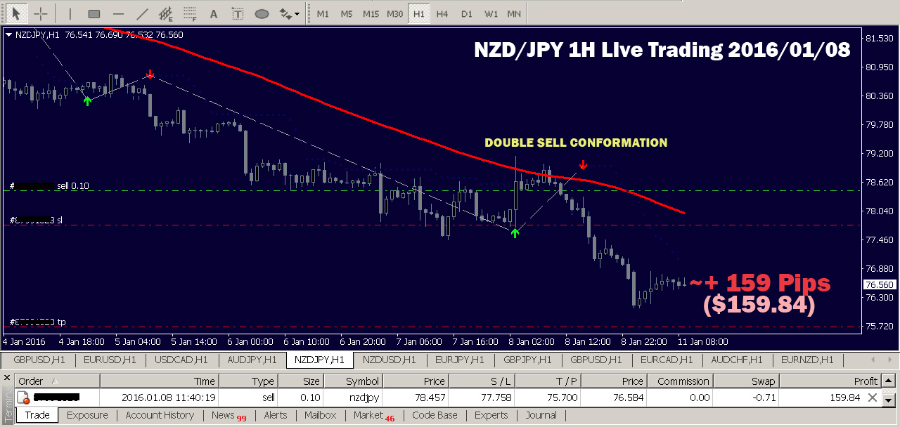 Best forex traders to follow