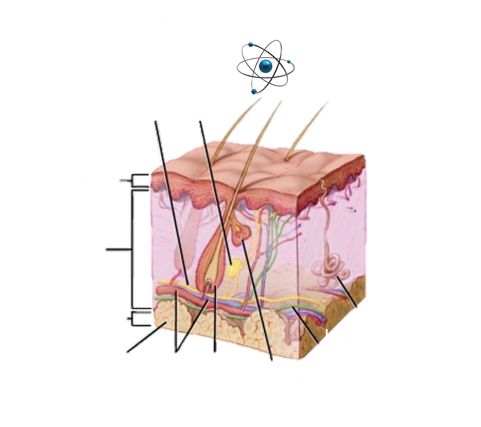 How To Prevent White Hair Growth Naturally How To Prevent White Hair Growth Naturally