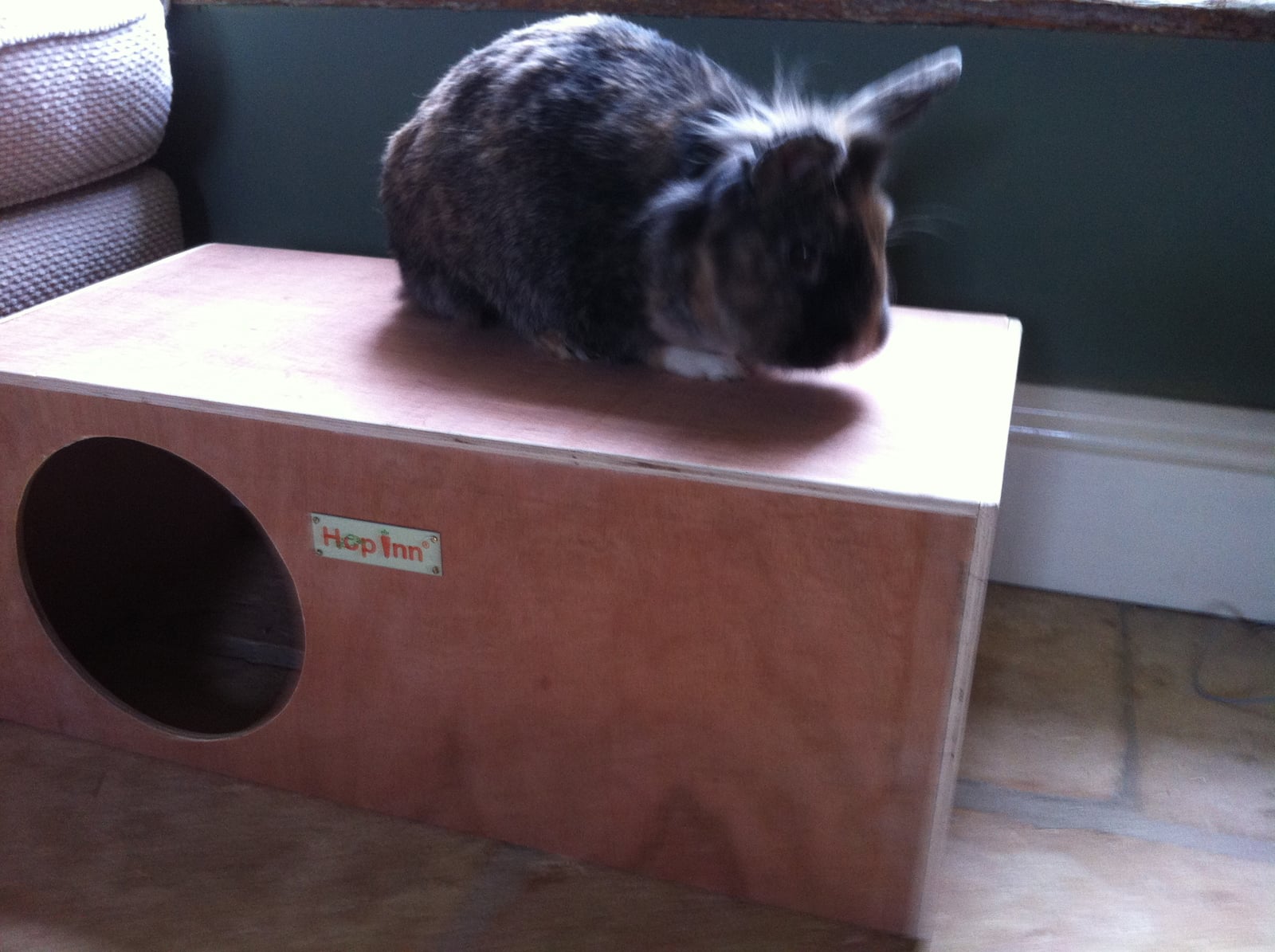 Shelter House Hideaway for Rabbits and Cats 24" L x 12" W x 10" H by Hop Inn