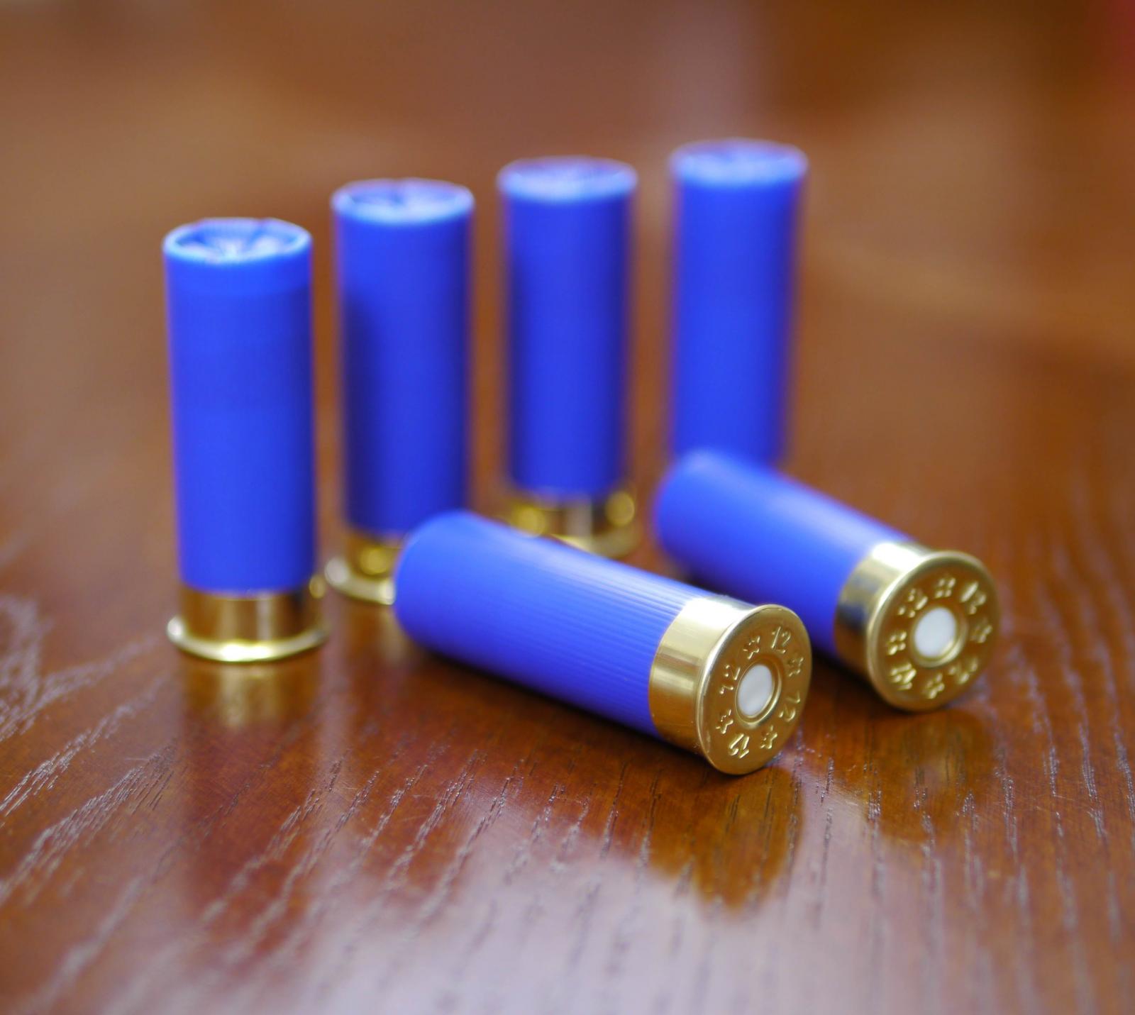 B's Dry Fire Snap Caps® Dummy 12 Gauge Training Rounds 6 x Low Brass